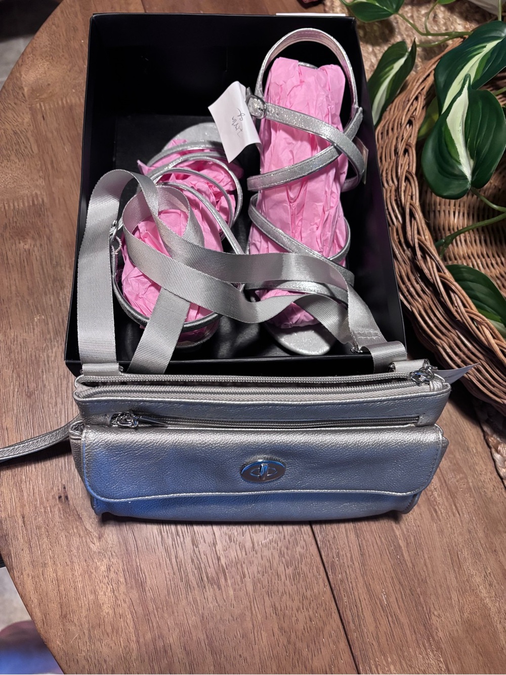 Silver Crossbody Bag with Turn-Lock Closure & matching Silver Heels
